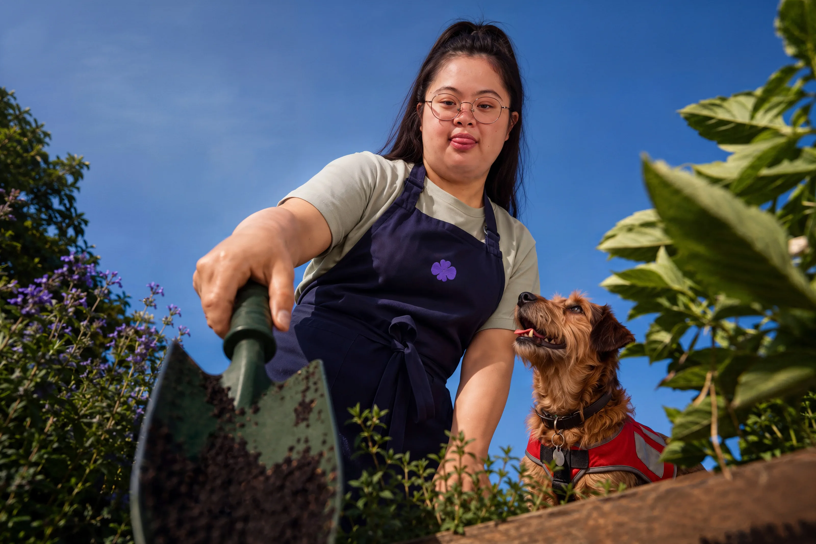 Eine Frau mit Schürze und Handschaufel im Garten, neben ihr ein Hund.